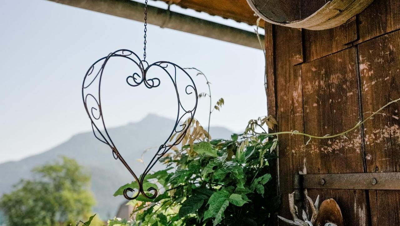 Archehof Eislbauer - Bauernhof Fuer Die Seele! Villa Sankt Gilgen Kültér fotó