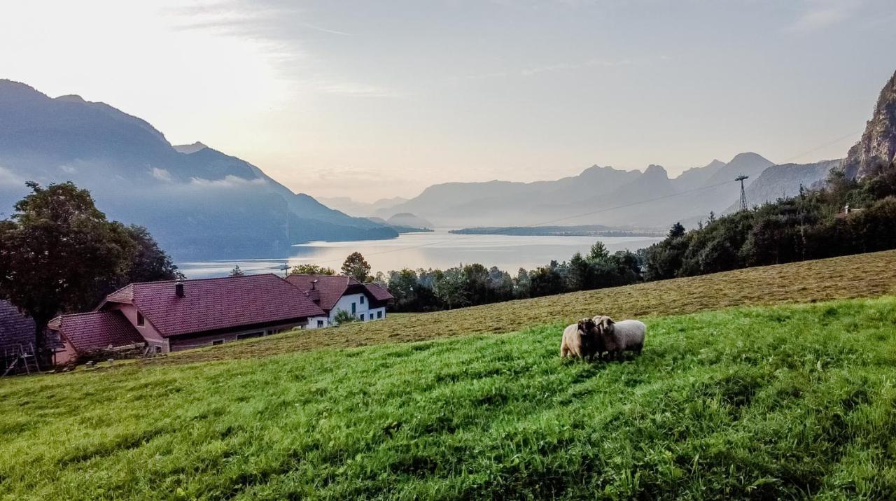Archehof Eislbauer - Bauernhof Fuer Die Seele! Villa Sankt Gilgen Kültér fotó